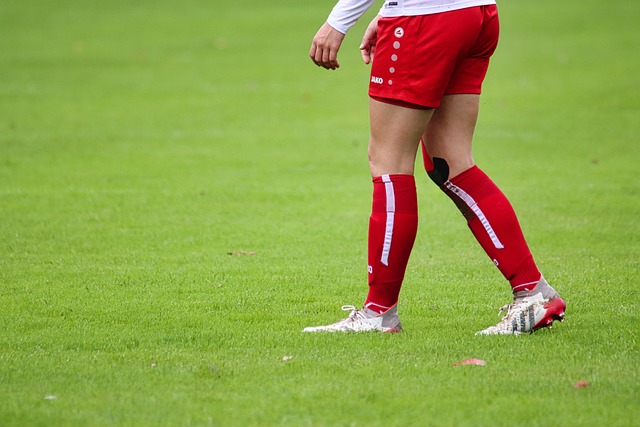 资源的非洲 资源的非洲