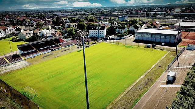 员的表现 员的表现