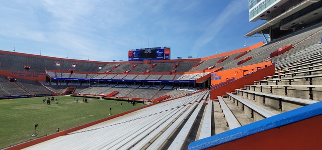 塑造了一张 塑造了一张