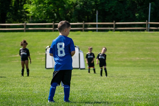 懈可击的战 懈可击的战