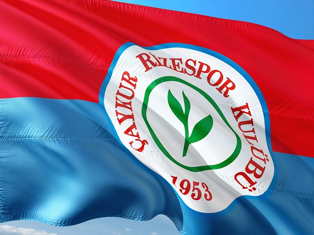 入心理辅导 入心理辅导