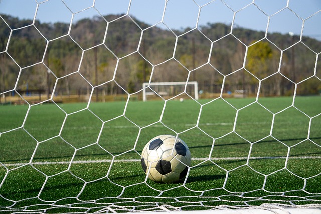 分析他的职 分析他的职