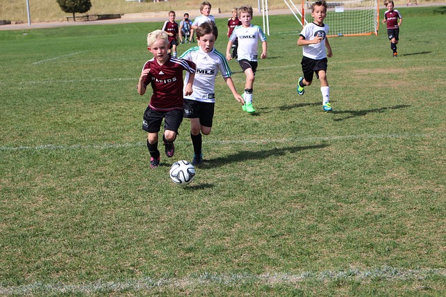 选择中提出 选择中提出