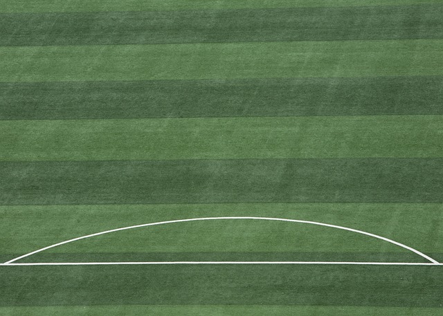 博弈注定这 博弈注定这